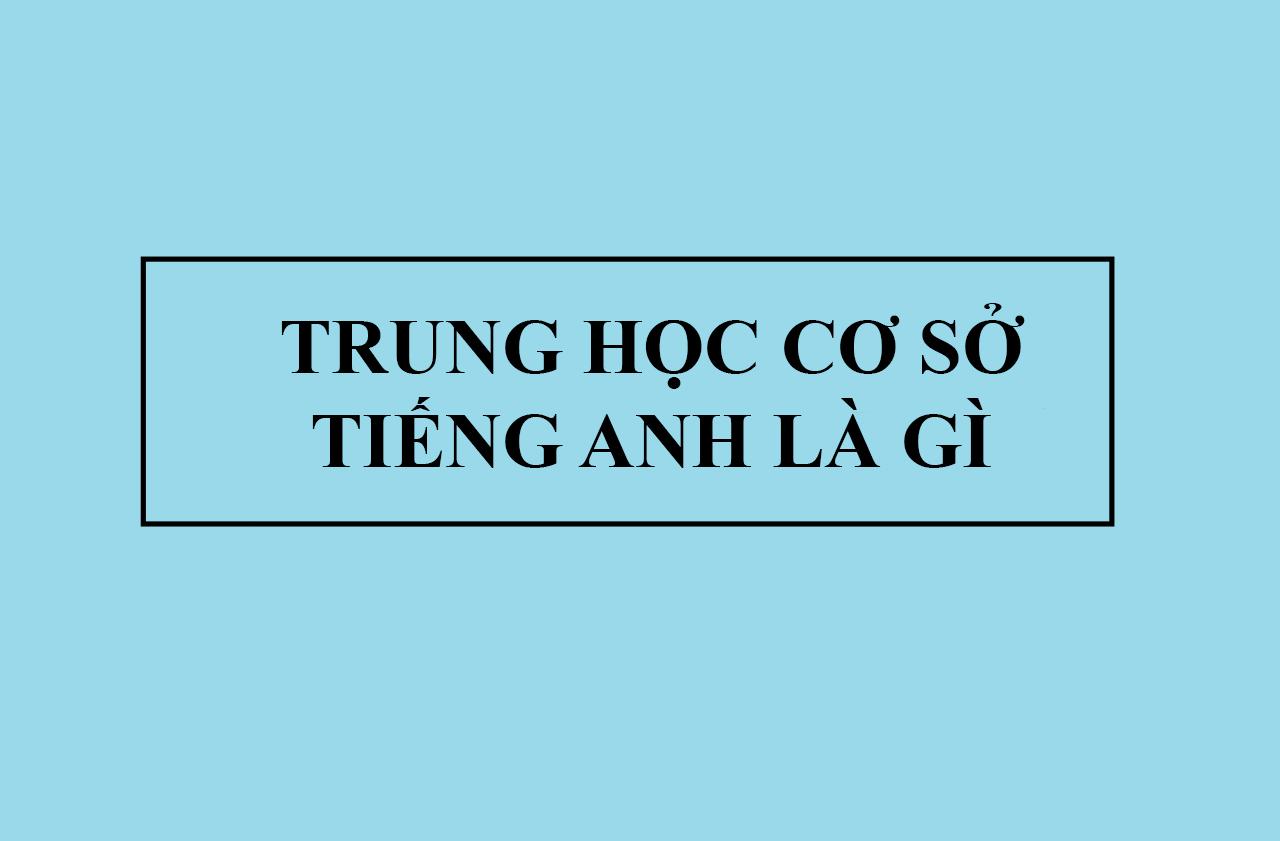 Trường tiểu học dịch sang tiếng Anh là gì, tương tự với trung học cơ sở?
